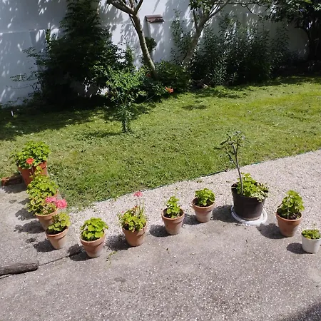 Guest house Paprika Vendeghaz Harkany