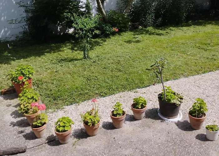 Gasthof Paprika Vendeghaz Harkan